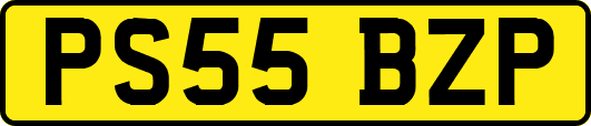 PS55BZP