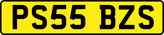 PS55BZS