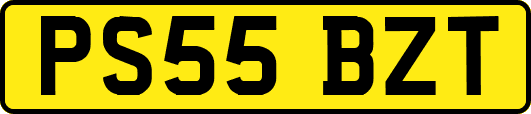 PS55BZT