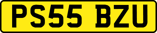 PS55BZU