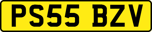 PS55BZV