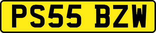 PS55BZW