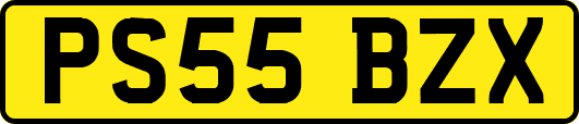 PS55BZX