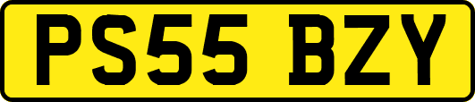 PS55BZY