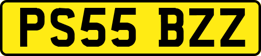 PS55BZZ