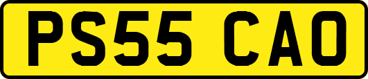 PS55CAO