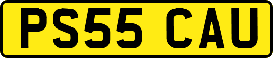 PS55CAU