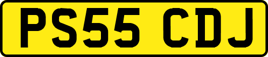PS55CDJ
