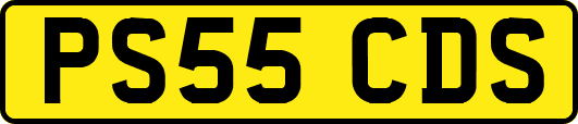 PS55CDS