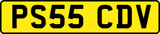 PS55CDV