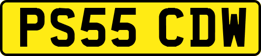 PS55CDW