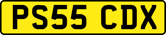 PS55CDX
