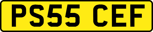 PS55CEF