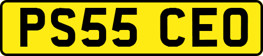 PS55CEO