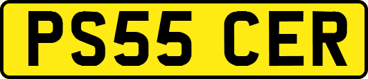 PS55CER