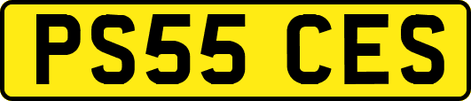 PS55CES