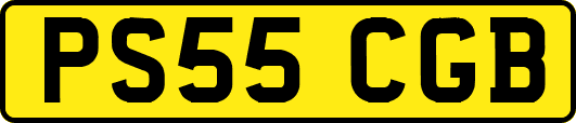 PS55CGB