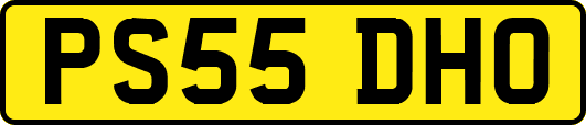 PS55DHO