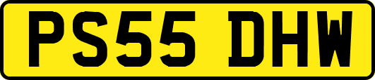 PS55DHW