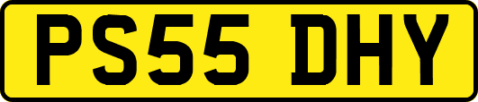 PS55DHY