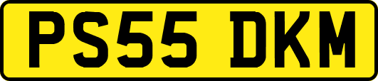 PS55DKM