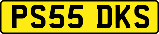 PS55DKS