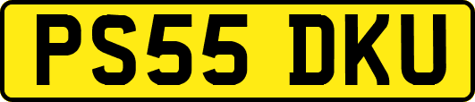 PS55DKU