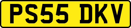 PS55DKV