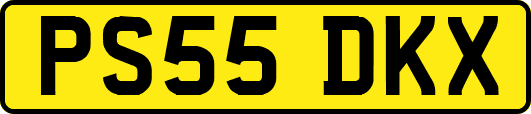 PS55DKX