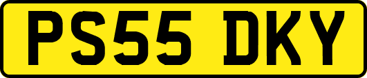 PS55DKY