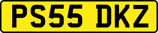 PS55DKZ