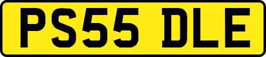 PS55DLE