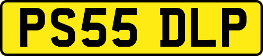 PS55DLP