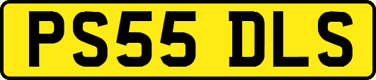 PS55DLS
