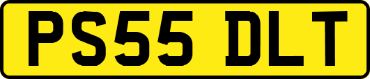 PS55DLT