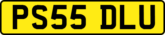 PS55DLU