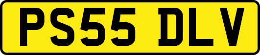 PS55DLV