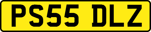 PS55DLZ