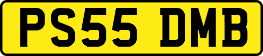 PS55DMB