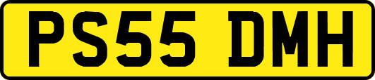 PS55DMH