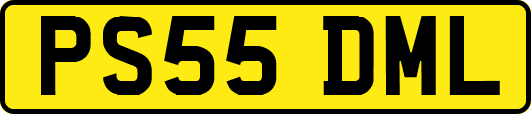 PS55DML