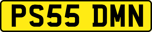 PS55DMN