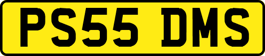 PS55DMS
