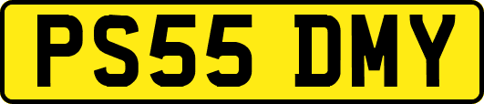PS55DMY