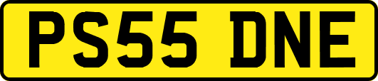 PS55DNE
