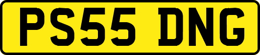 PS55DNG