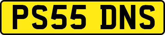 PS55DNS