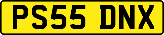 PS55DNX