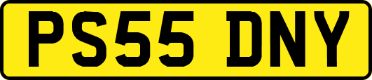 PS55DNY