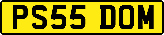 PS55DOM